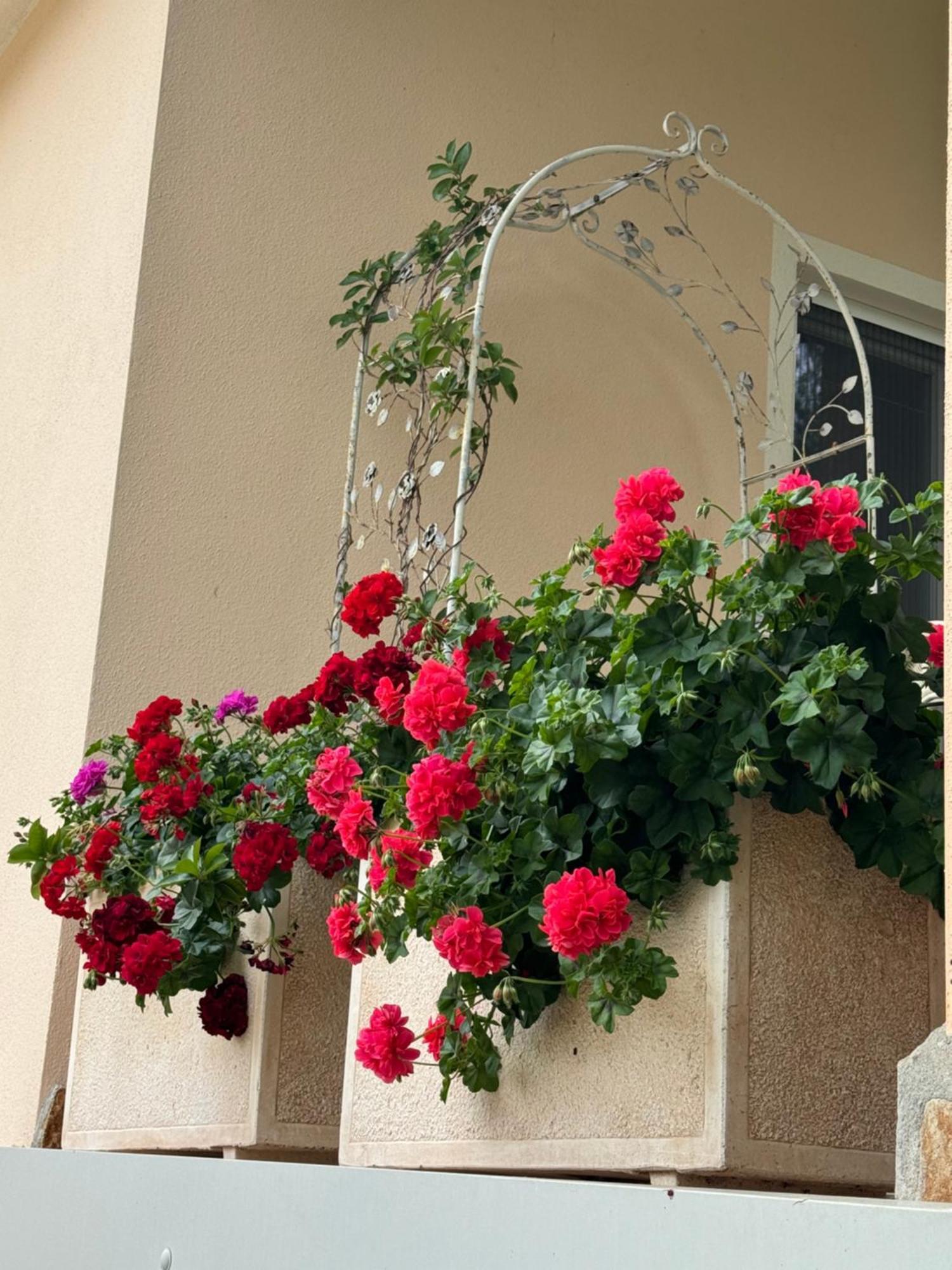 Villa Dei Fiori - Casa Vacanza Capoterra Luaran gambar
