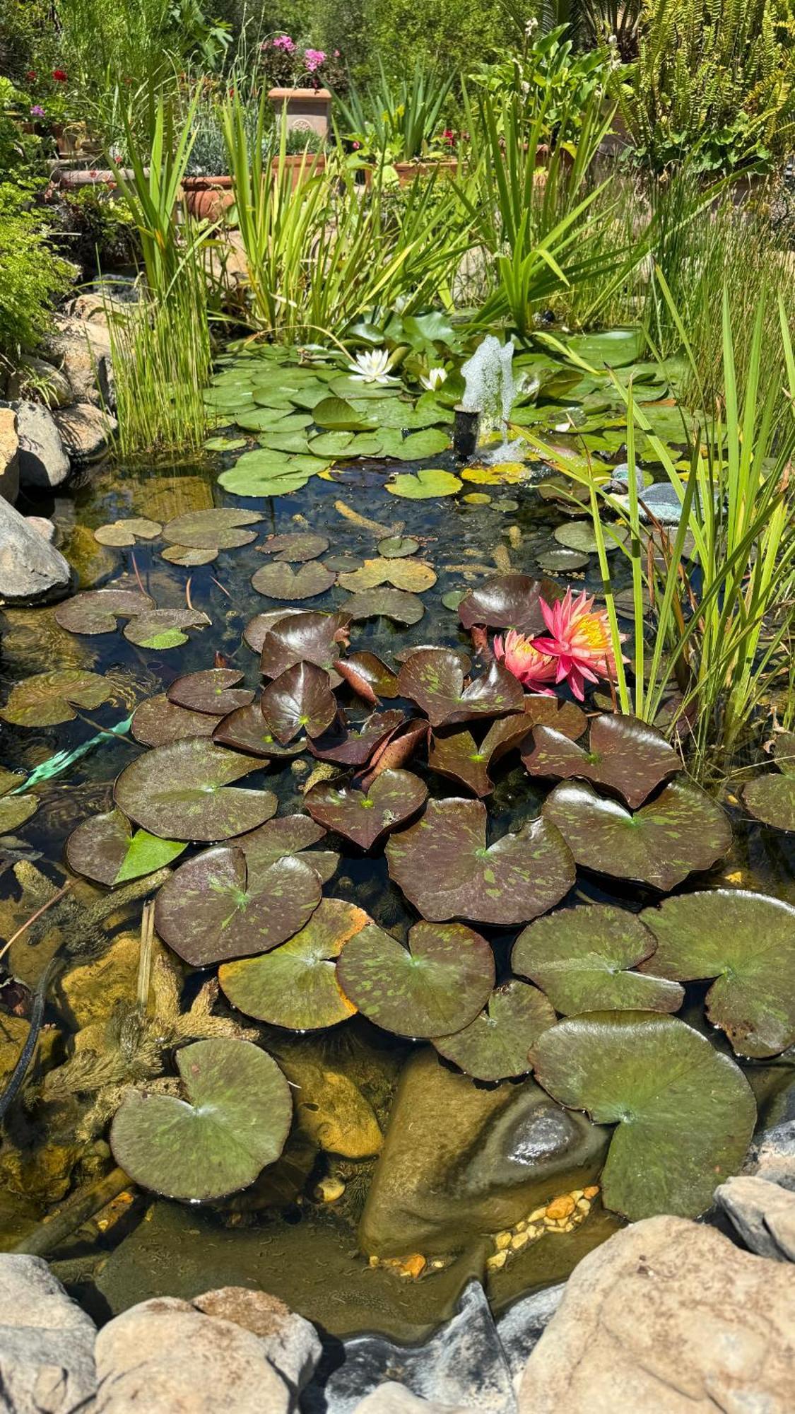 Villa Dei Fiori - Casa Vacanza Capoterra Luaran gambar