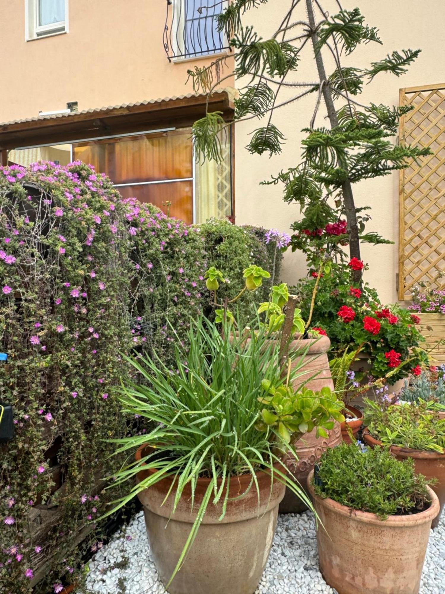 Villa Dei Fiori - Casa Vacanza Capoterra Luaran gambar